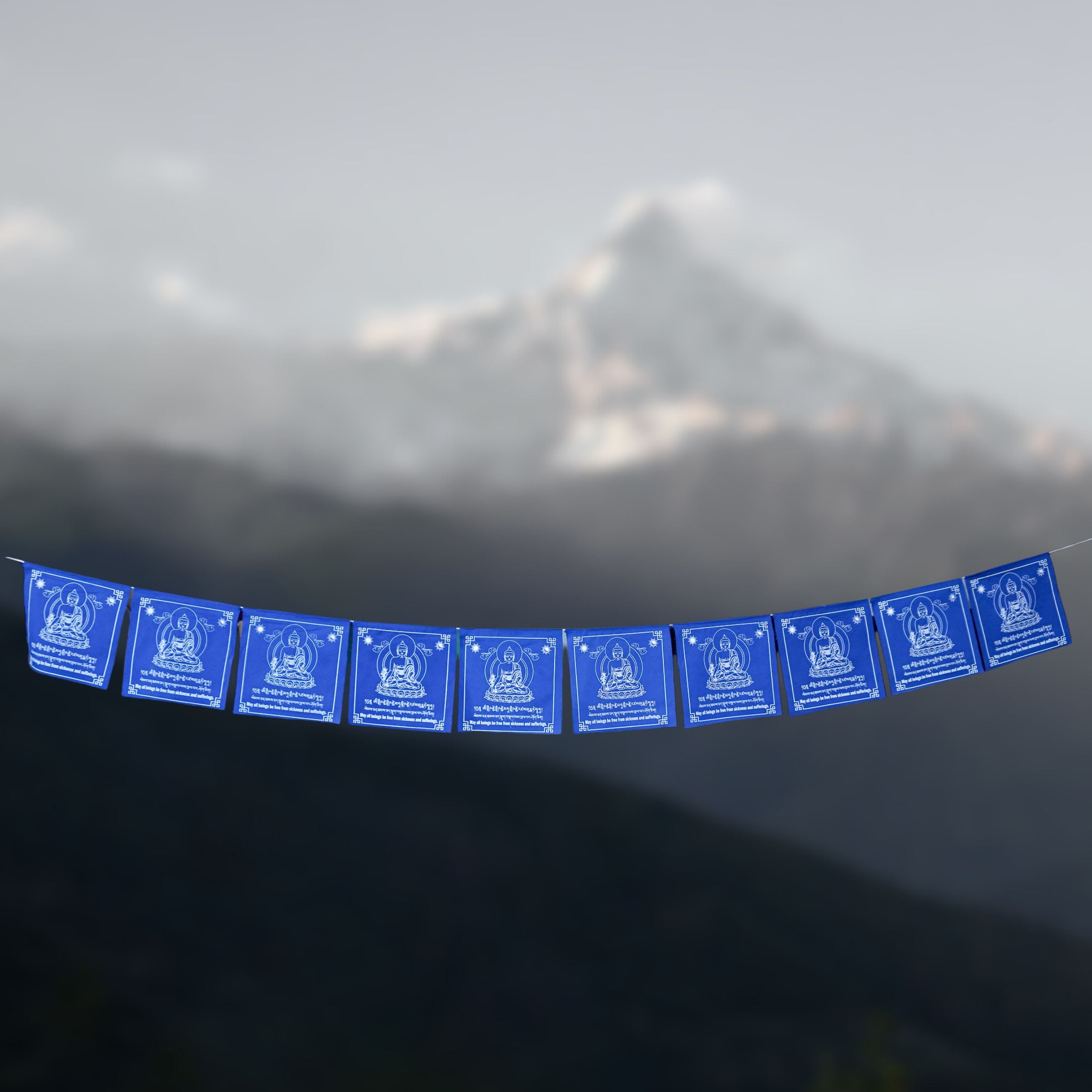 Medicine Buddha Prayer Flag 