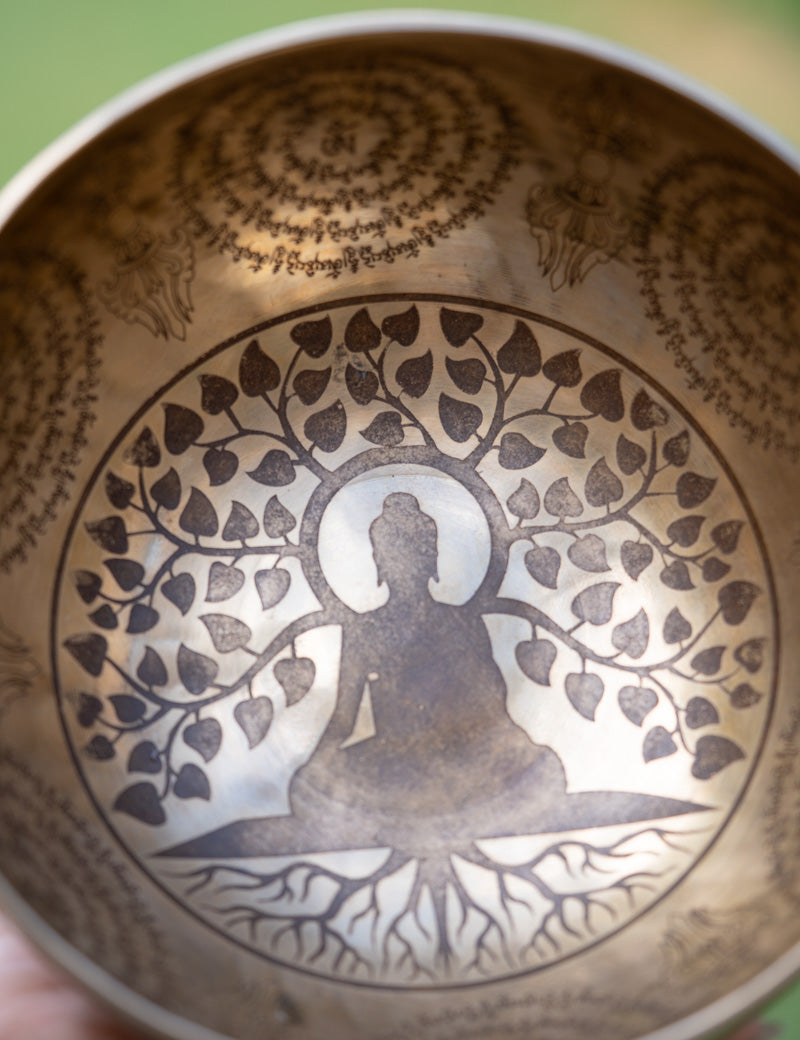 Buddha Tree Singing Bowl for meditation.