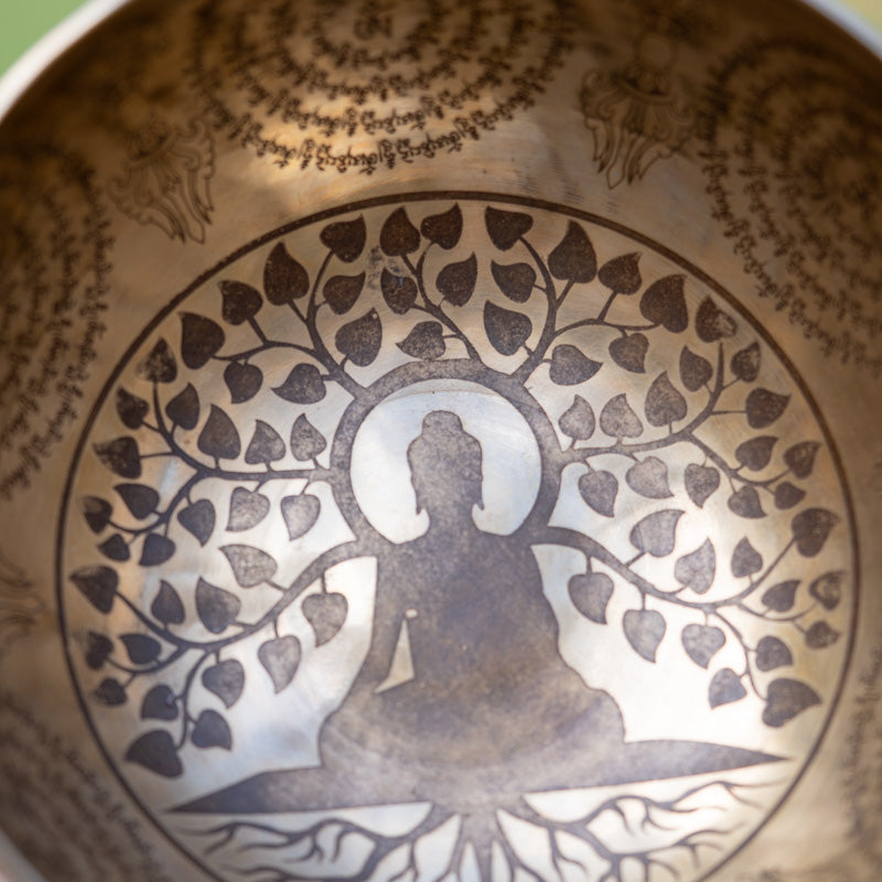 Buddha Tree Singing Bowl for meditation.