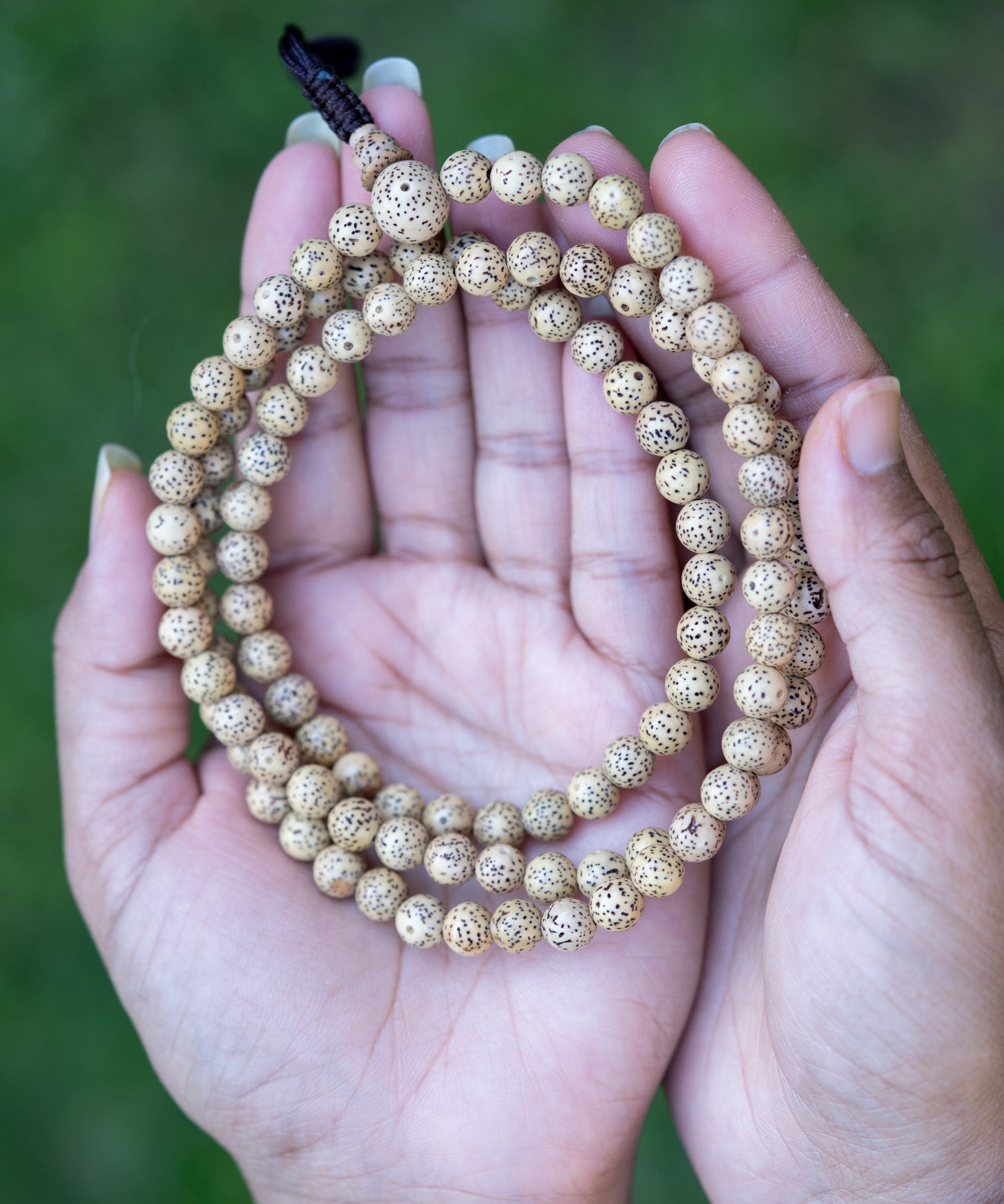 Lotus Seed Mala 