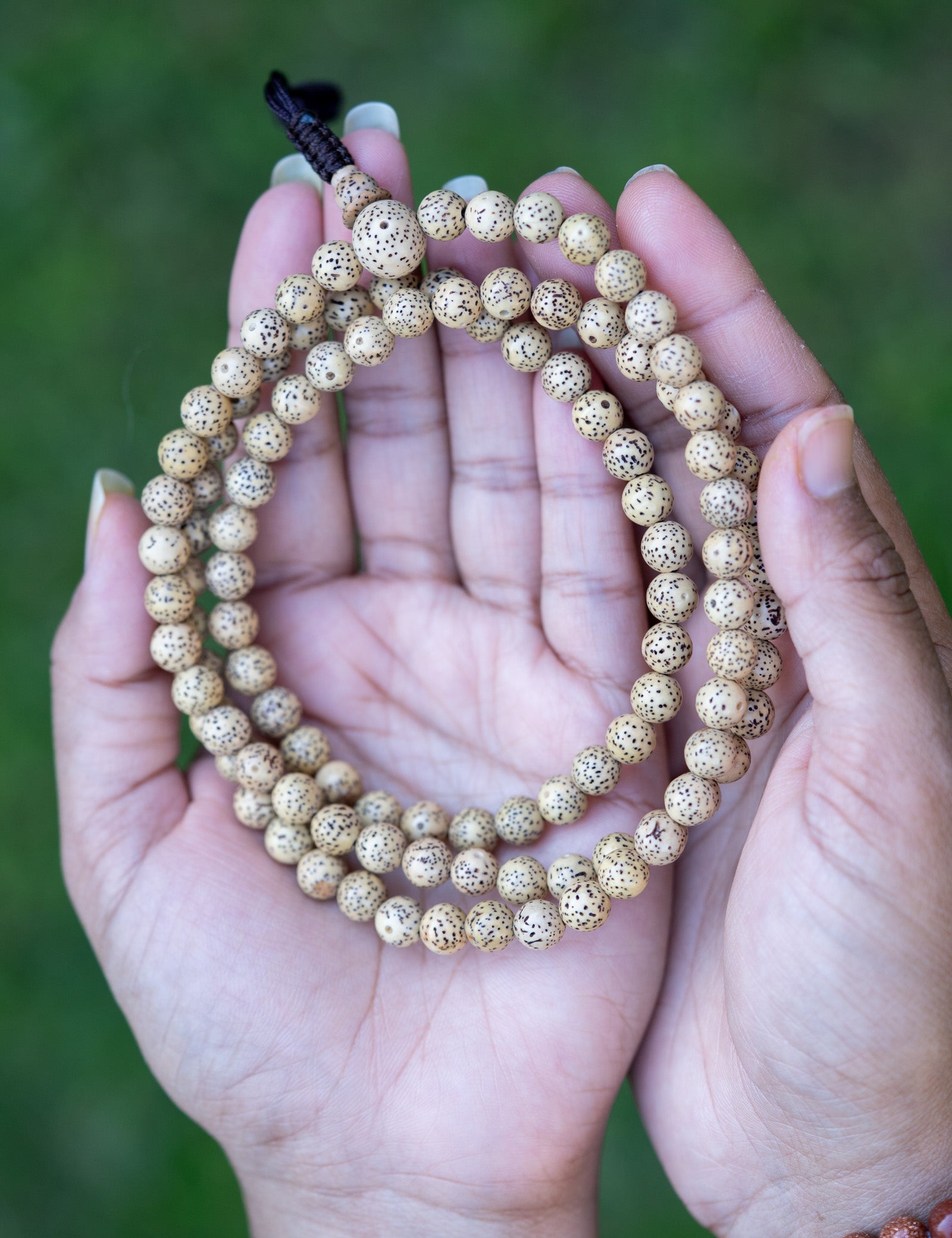 Lotus Seed Mala 