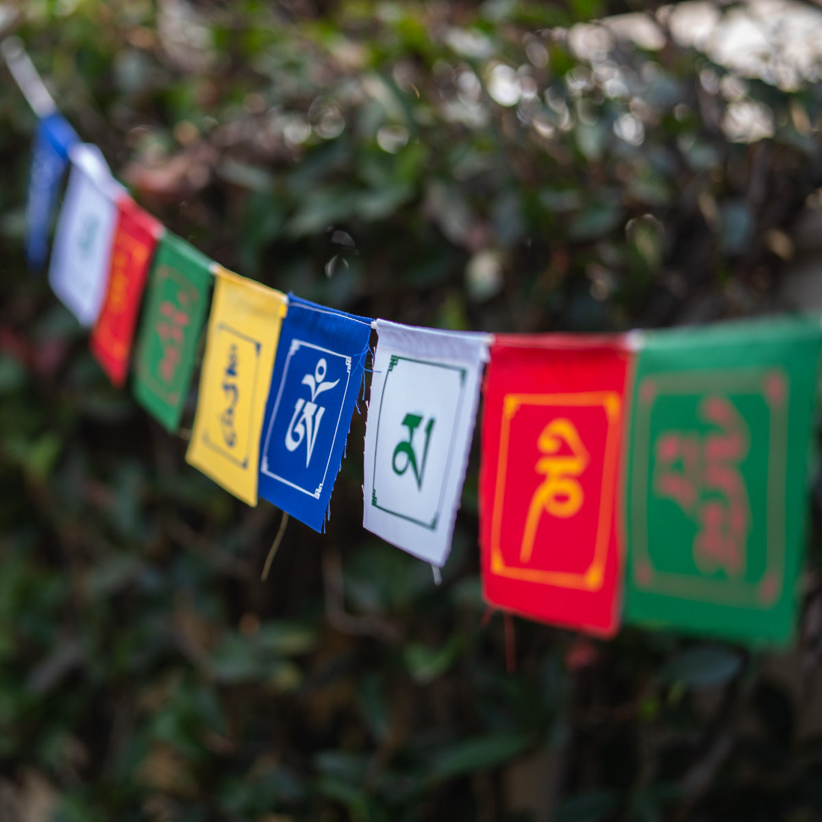 Compassionate mantra prayer flag