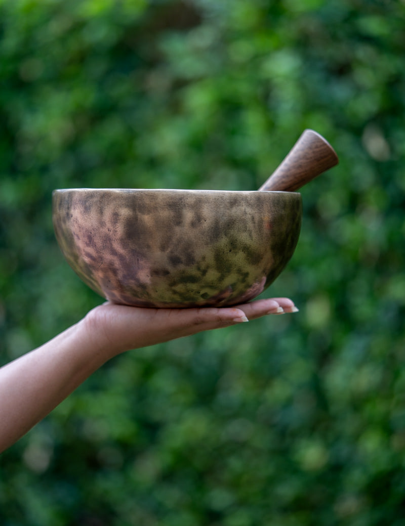 old tibetan singing bowl from himalaya