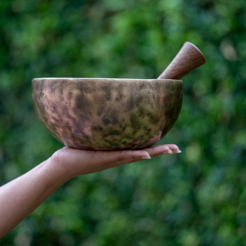 old tibetan singing bowl from himalaya