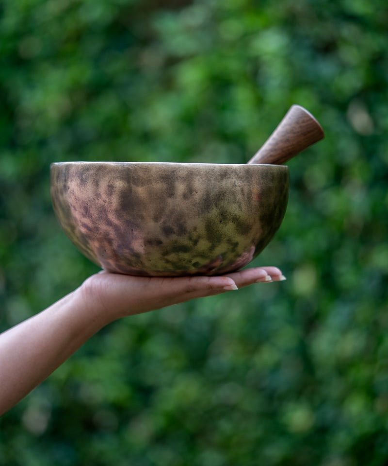 old tibetan singing bowl from himalaya