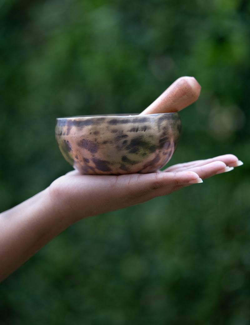 old tibetan singing bowl from himalaya