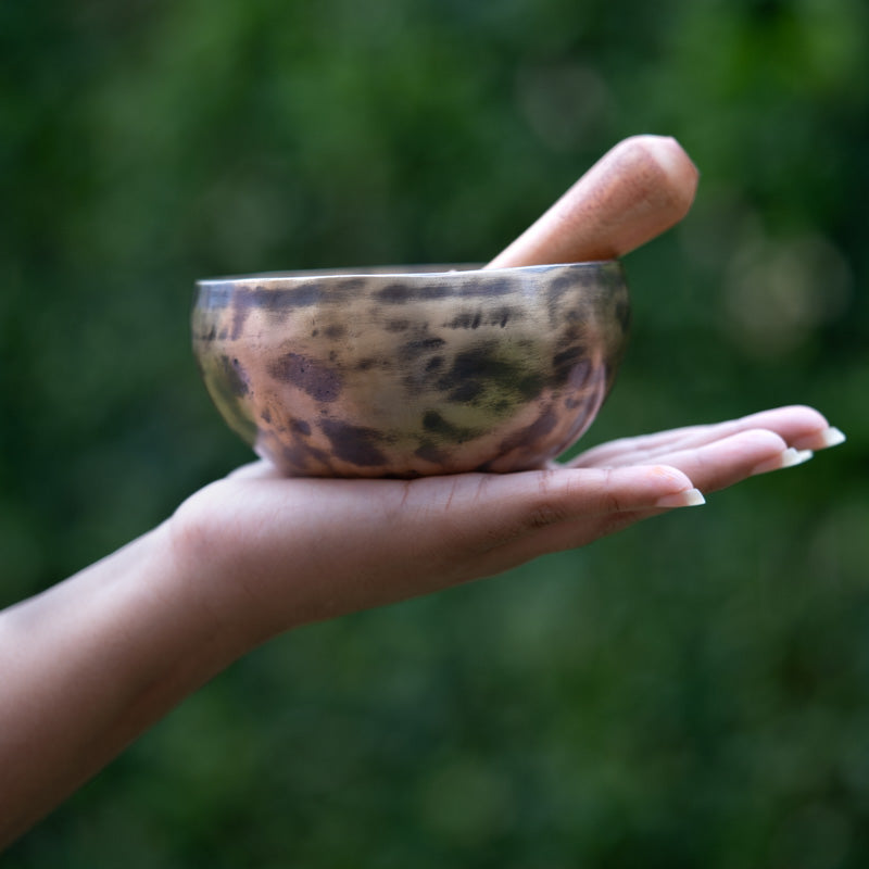 old tibetan singing bowl from himalaya