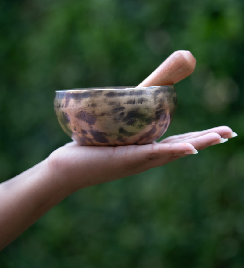 old tibetan singing bowl from himalaya