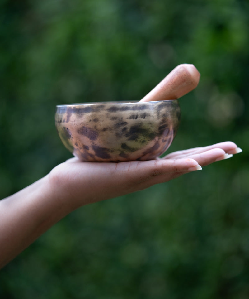 old tibetan singing bowl from himalaya