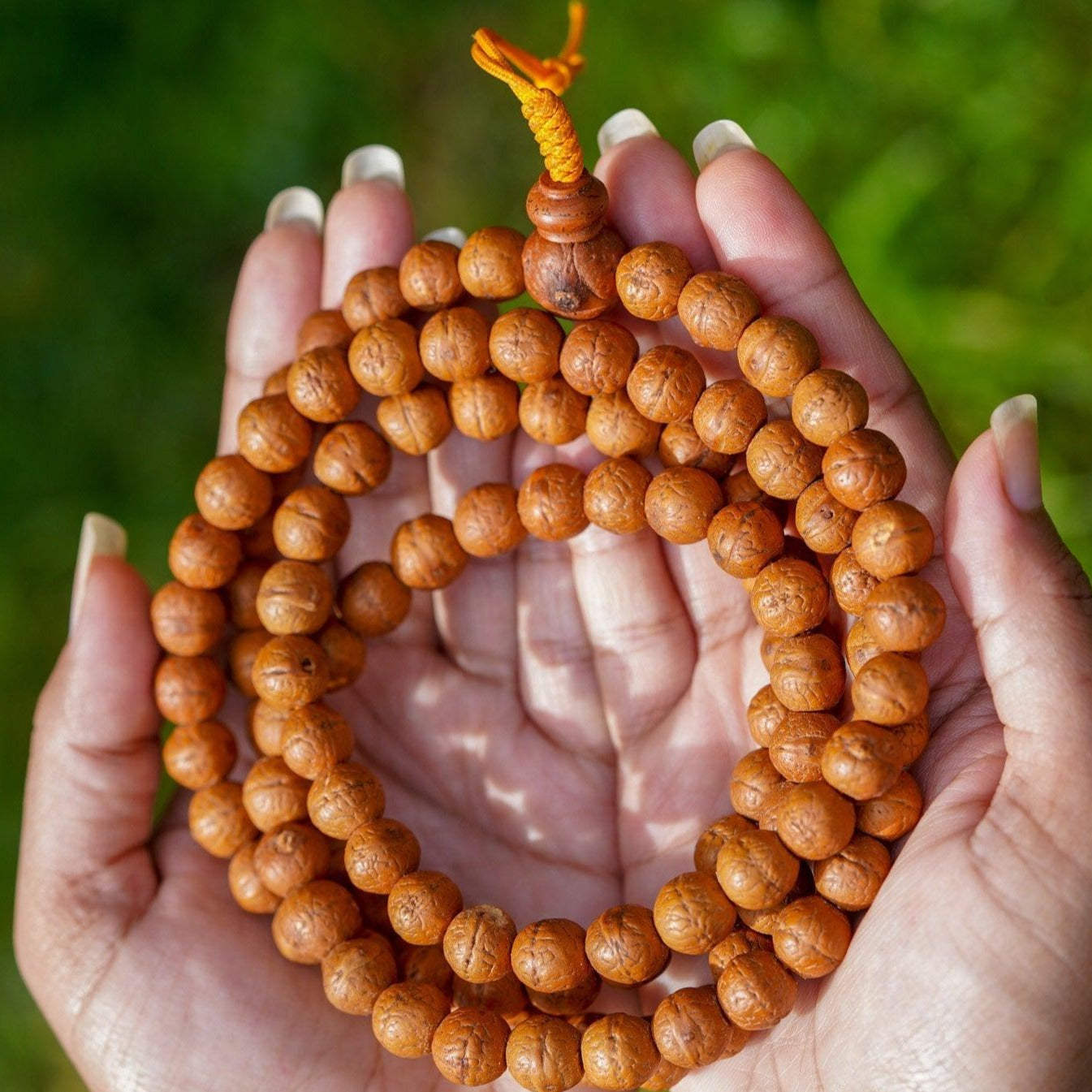 High Quality Bodhi Mala being held 