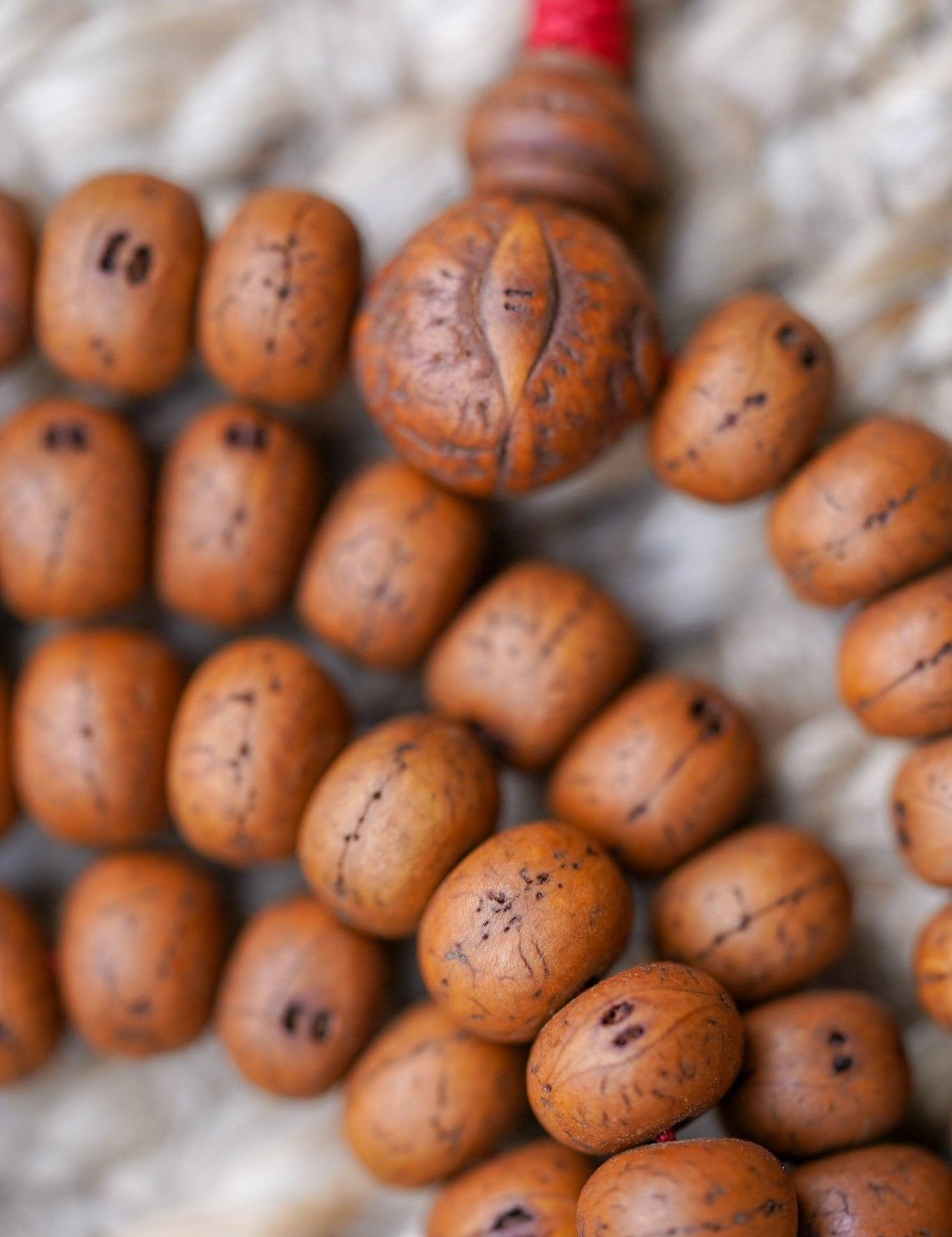 14 mm Bodhi Beads close up