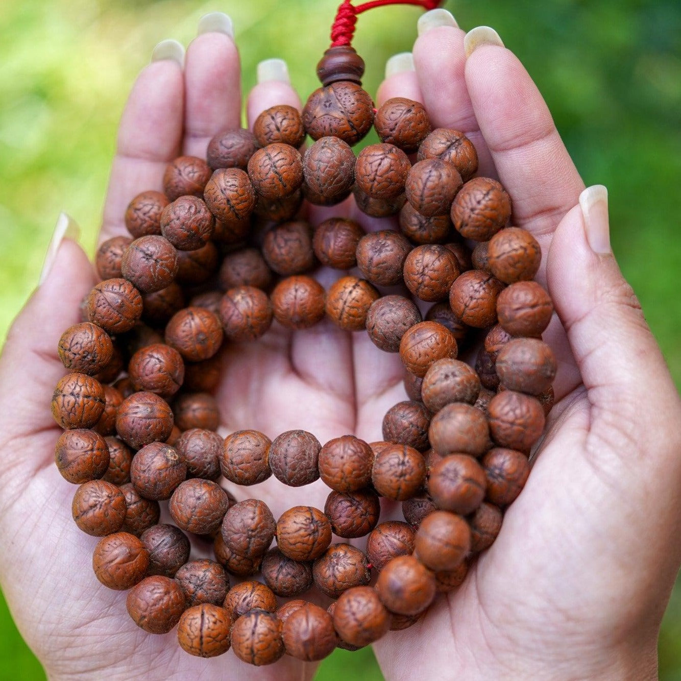 Antique Dark Bodhi Bead Mala being held