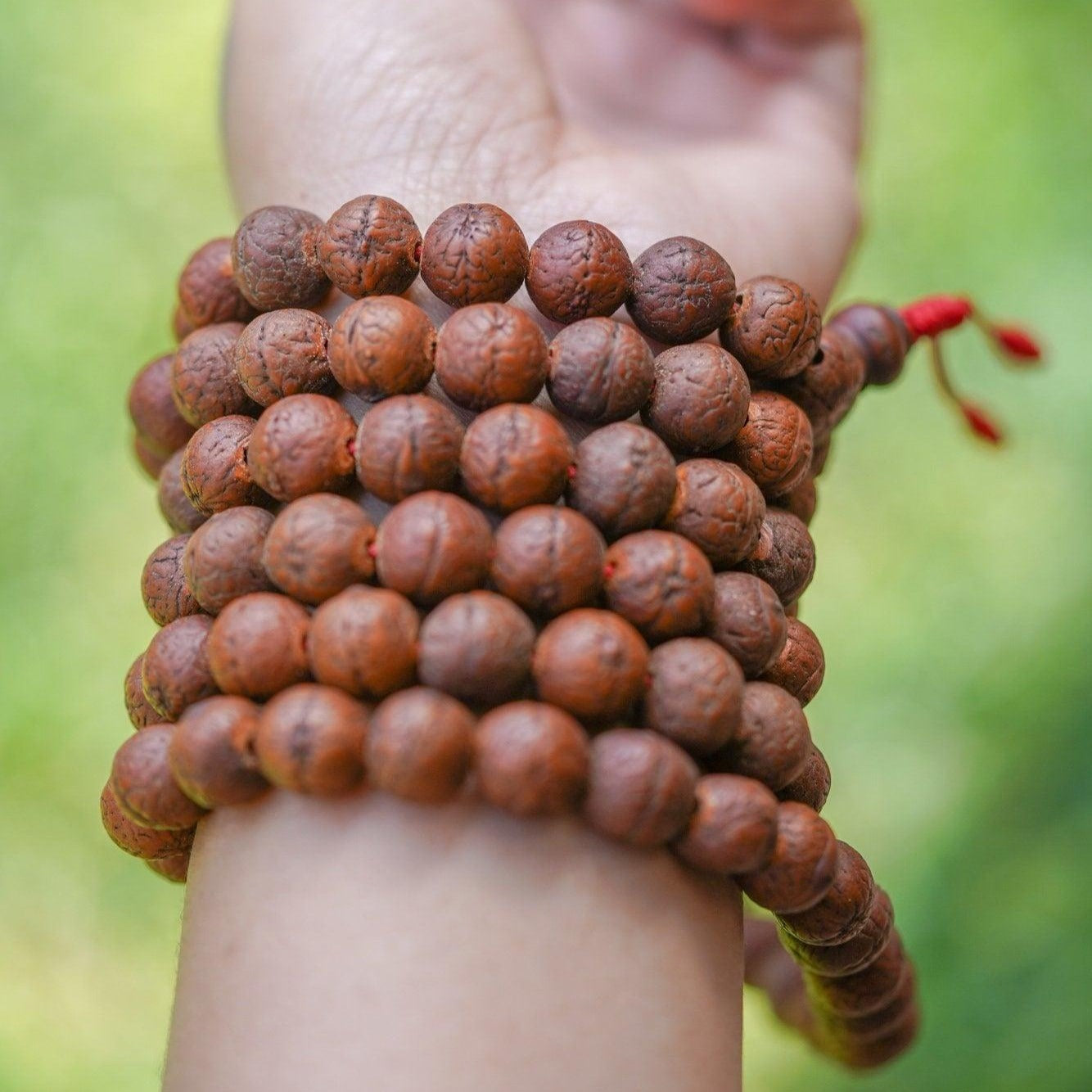 18 Natural Bodhi Seeds Bracelet: Unisex, Spiritual Energy, Good  Fortune,healthy&wealth,healing Bracelet,fengshui,peace,valentine Jewelry -  Etsy