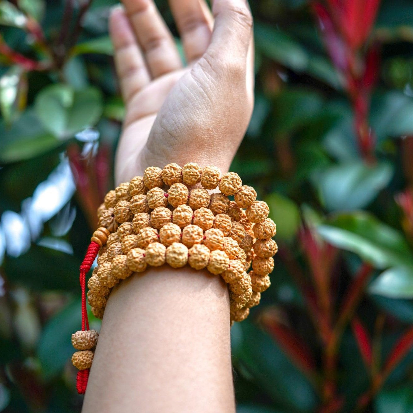 Rudraksha Bead Mala worn