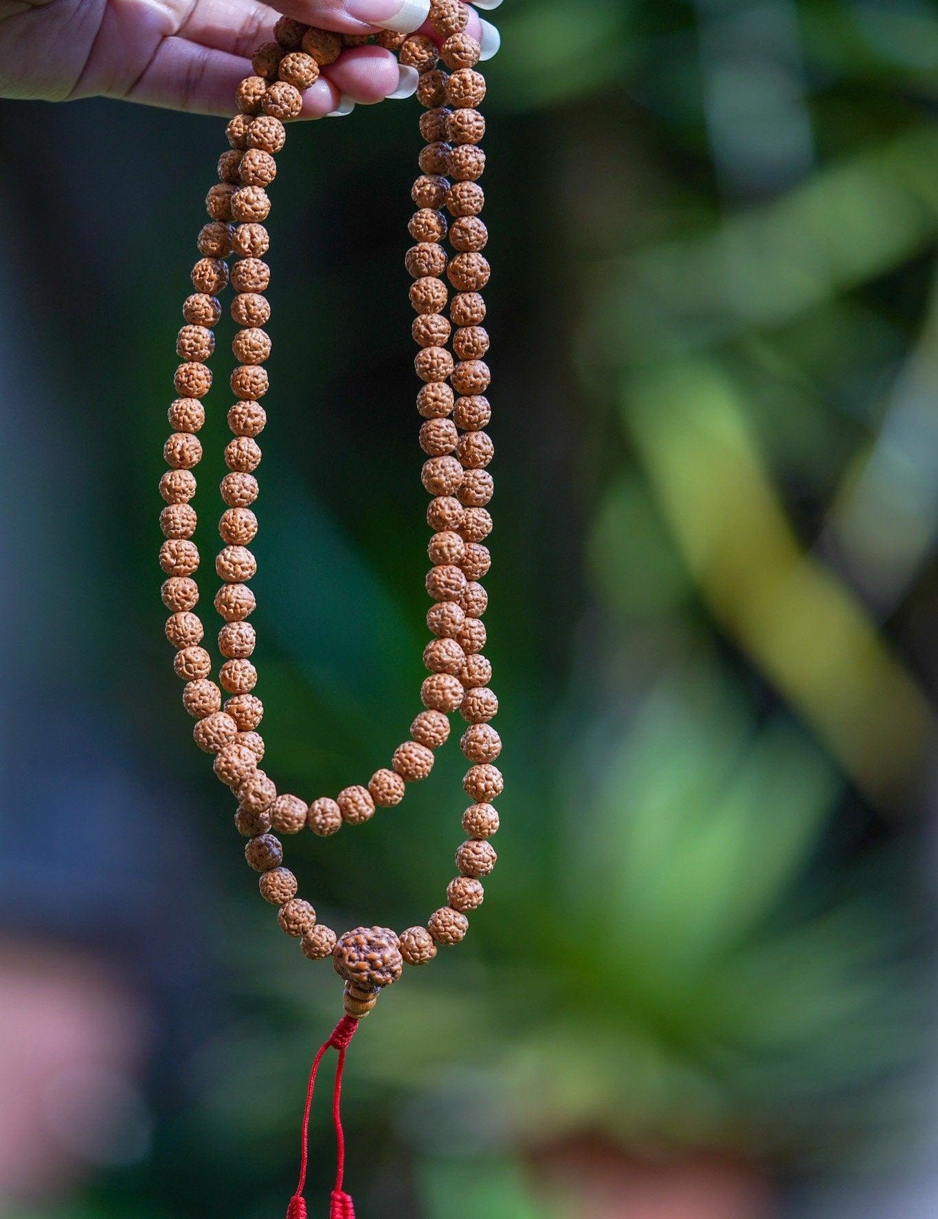 Rudraksha Bead Mala being held 