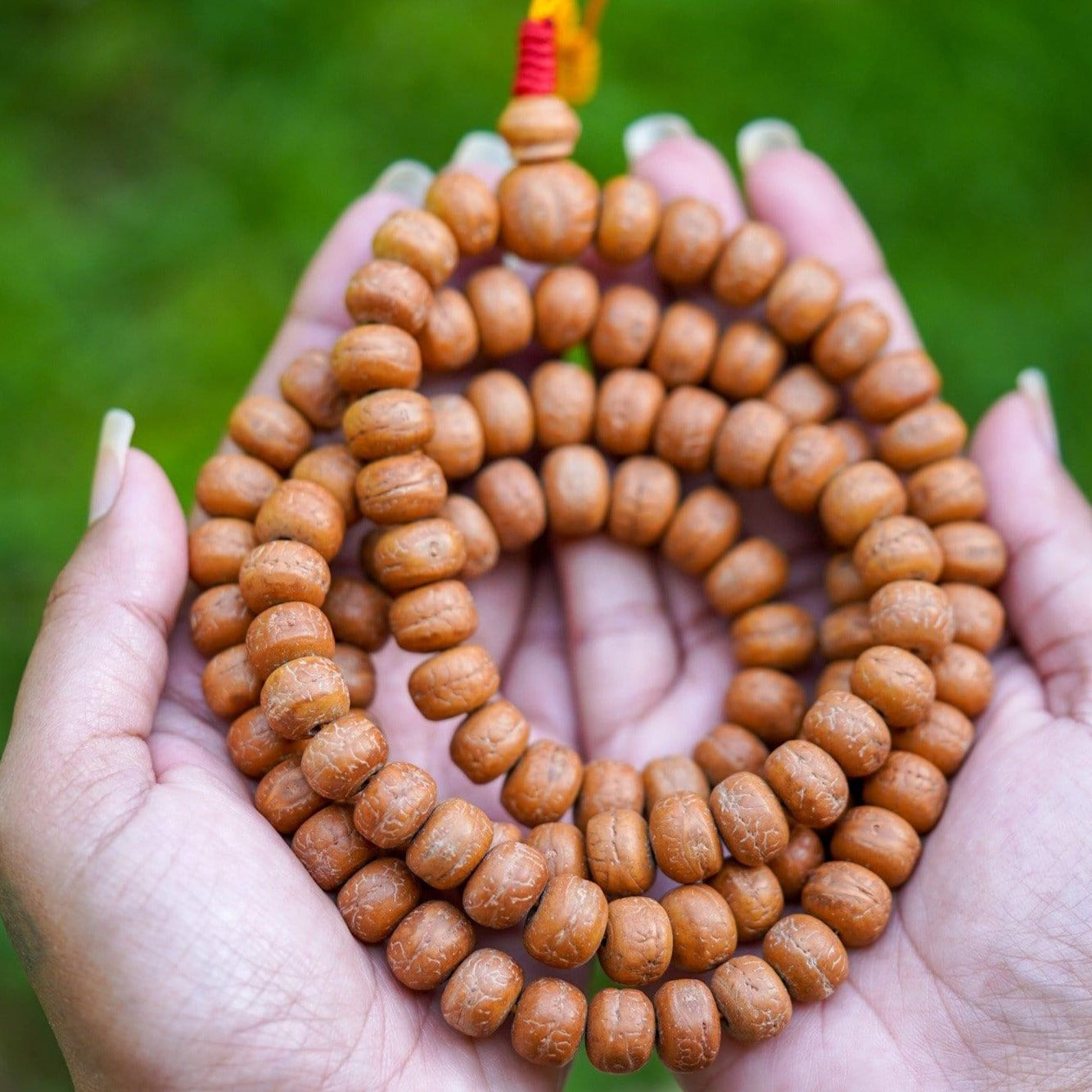 Natural Bodhi Bead Wrist Mala being held 