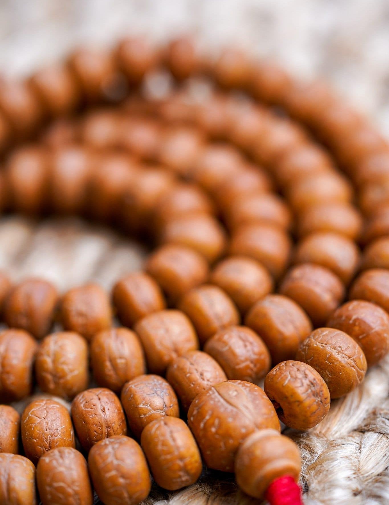 Natural Bodhi Bead Wrist Mala close up 