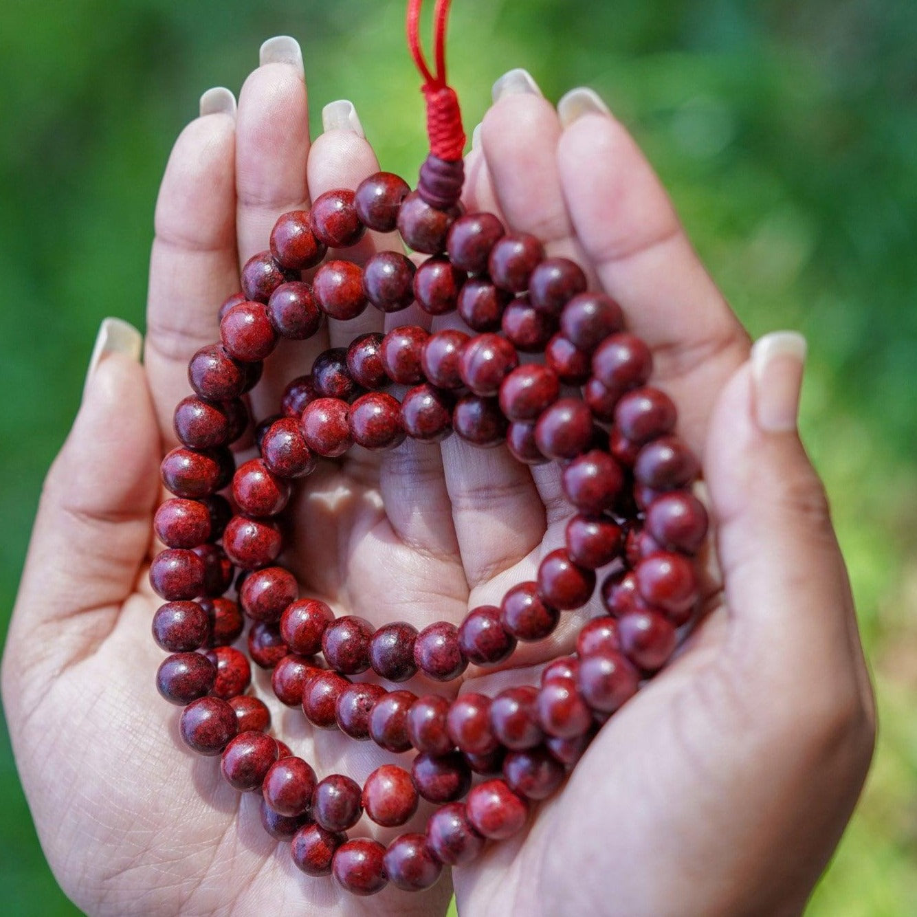 Rosewood Mala being held