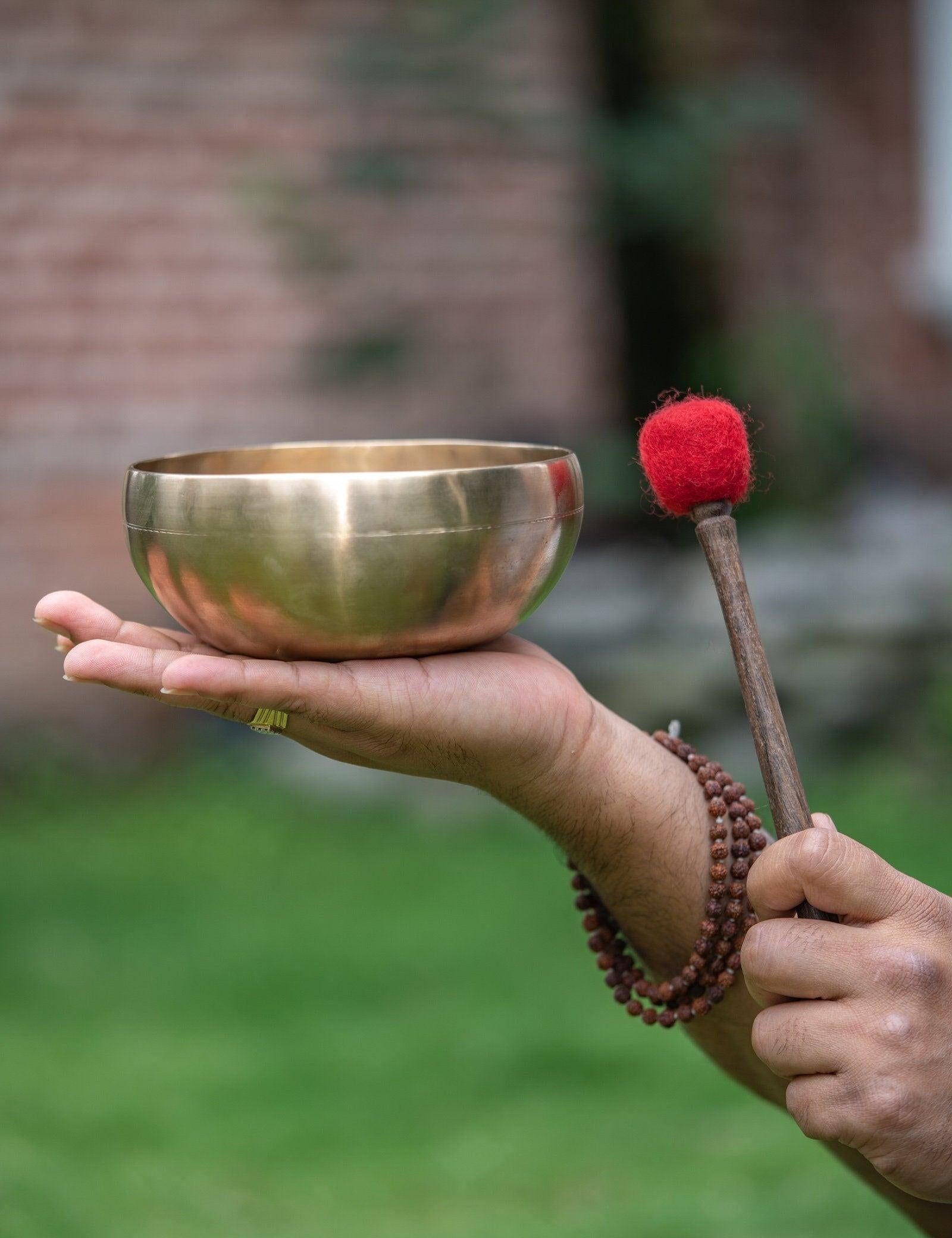 Peter Hess Singing Bowl from Himalayas Nepal - Himalayas Shop